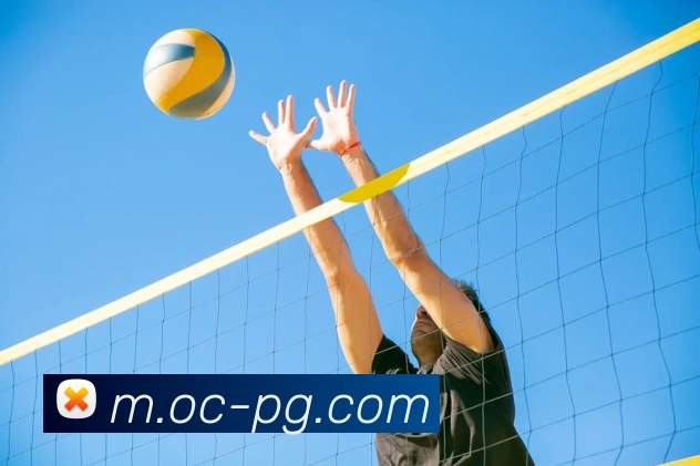 pg电子服务体系